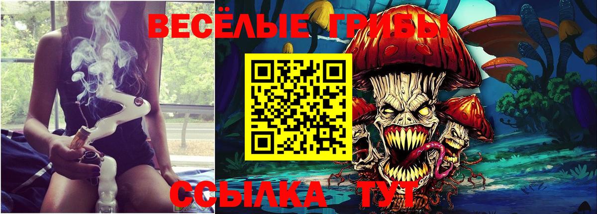 Галлюциногенные грибы Psilocybe  Вход с VPN  Долгопрудный 