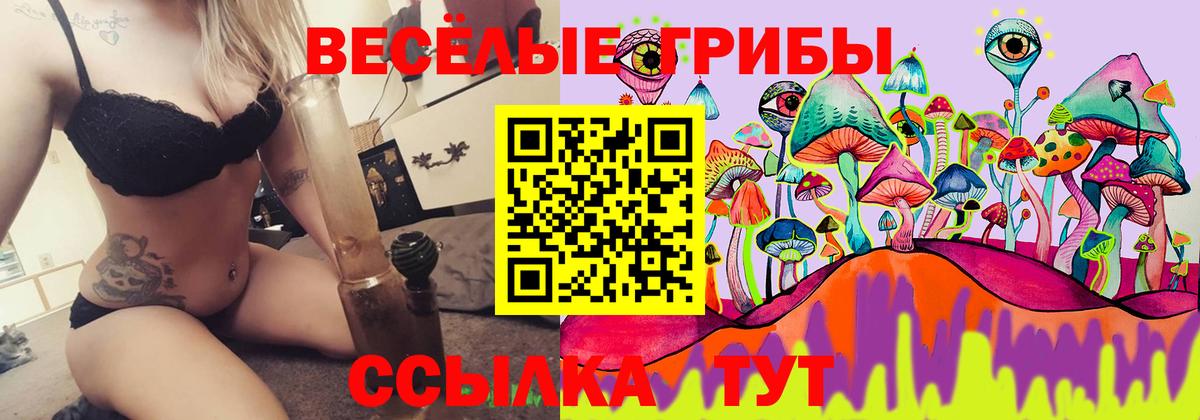 Галлюциногенные грибы Magic Shrooms Долгопрудный